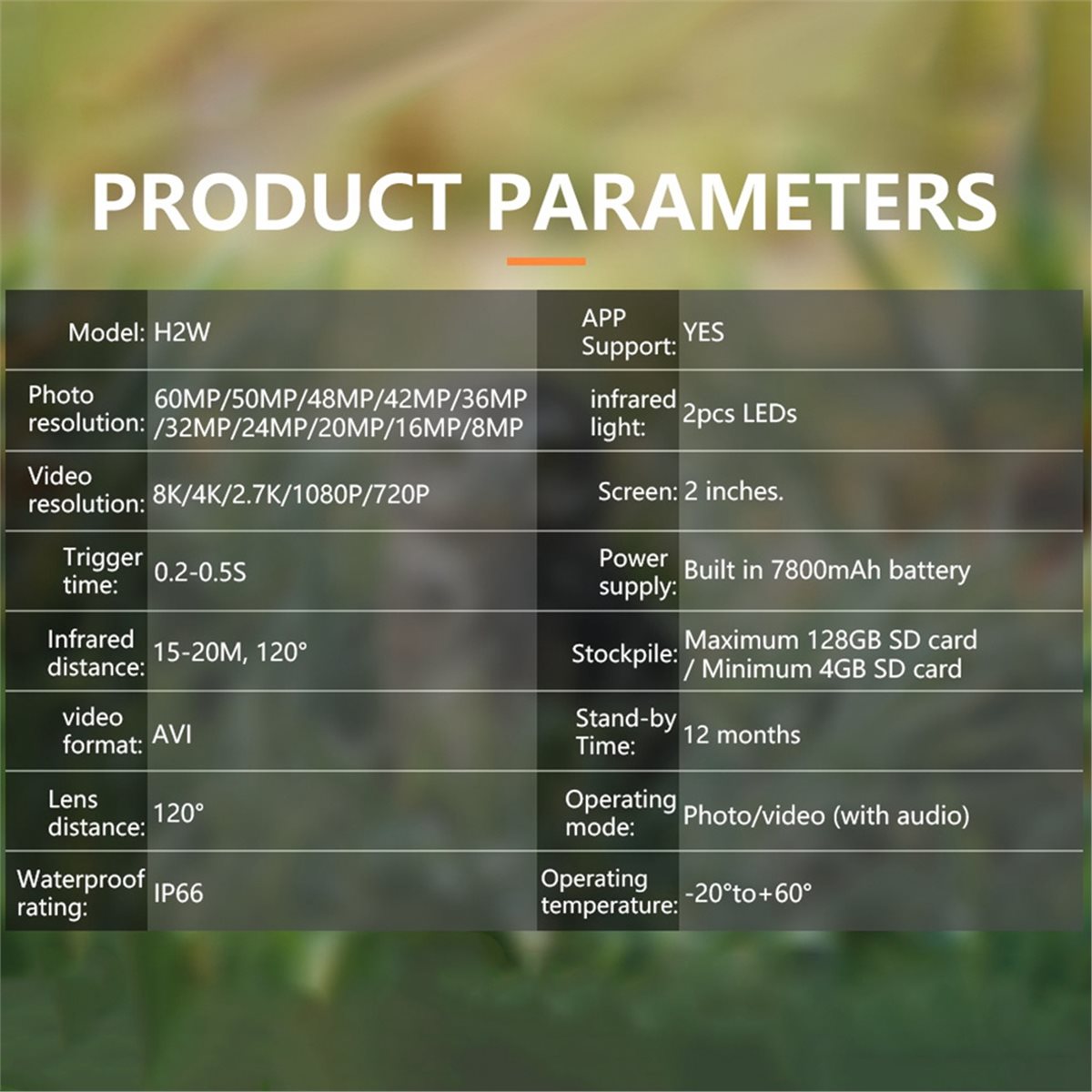 AS62 8K Hunting Camera HD Wild - Outdoor Hunting Camera Wifi บทวิจารณ์และราคา