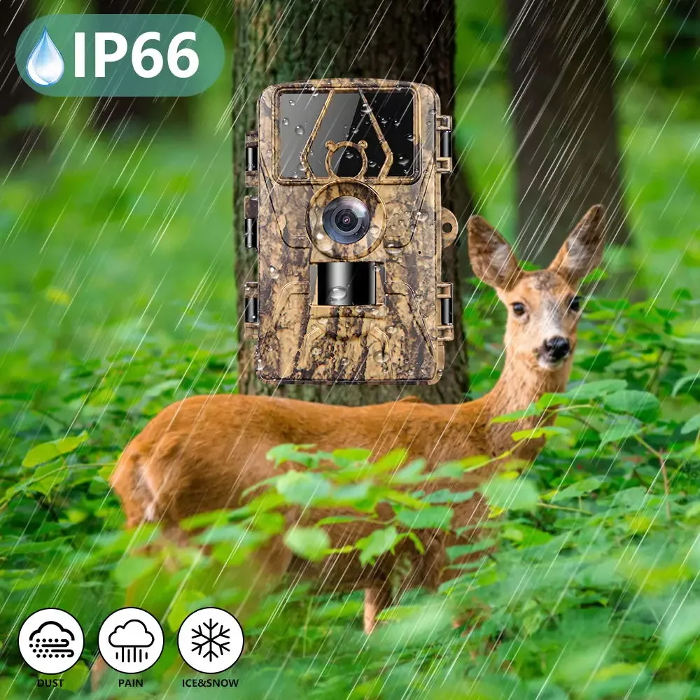 8K WiFi PR801W Waterproof Trai - Outdoor Hunting Camera Wifi บทวิจารณ์และราคา