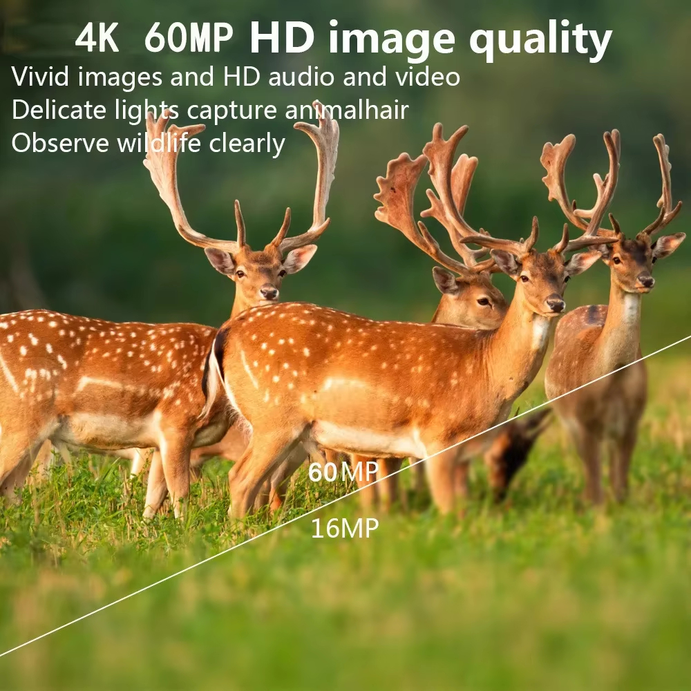 60MP WIFI Outdoor Hunting Trai - Outdoor Hunting Camera Wifi บทวิจารณ์และราคา