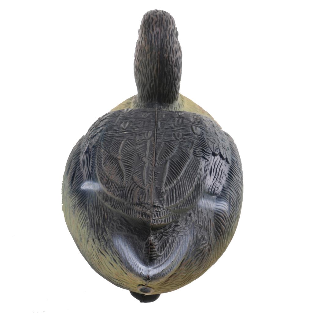 Highly Realistic Plastic Duck  - Decoy Duck Plastic บทวิจารณ์และราคา