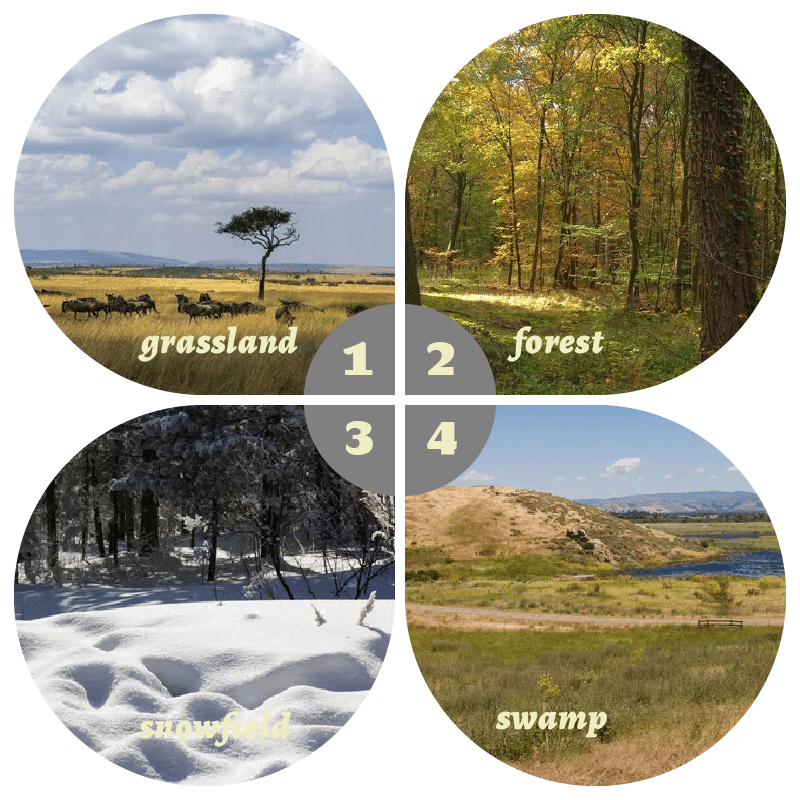 Camouflage Pop-Up Hunting Blin - Hunting & Outdoor Supplies Carterton Reviews บทวิจารณ์และราคา