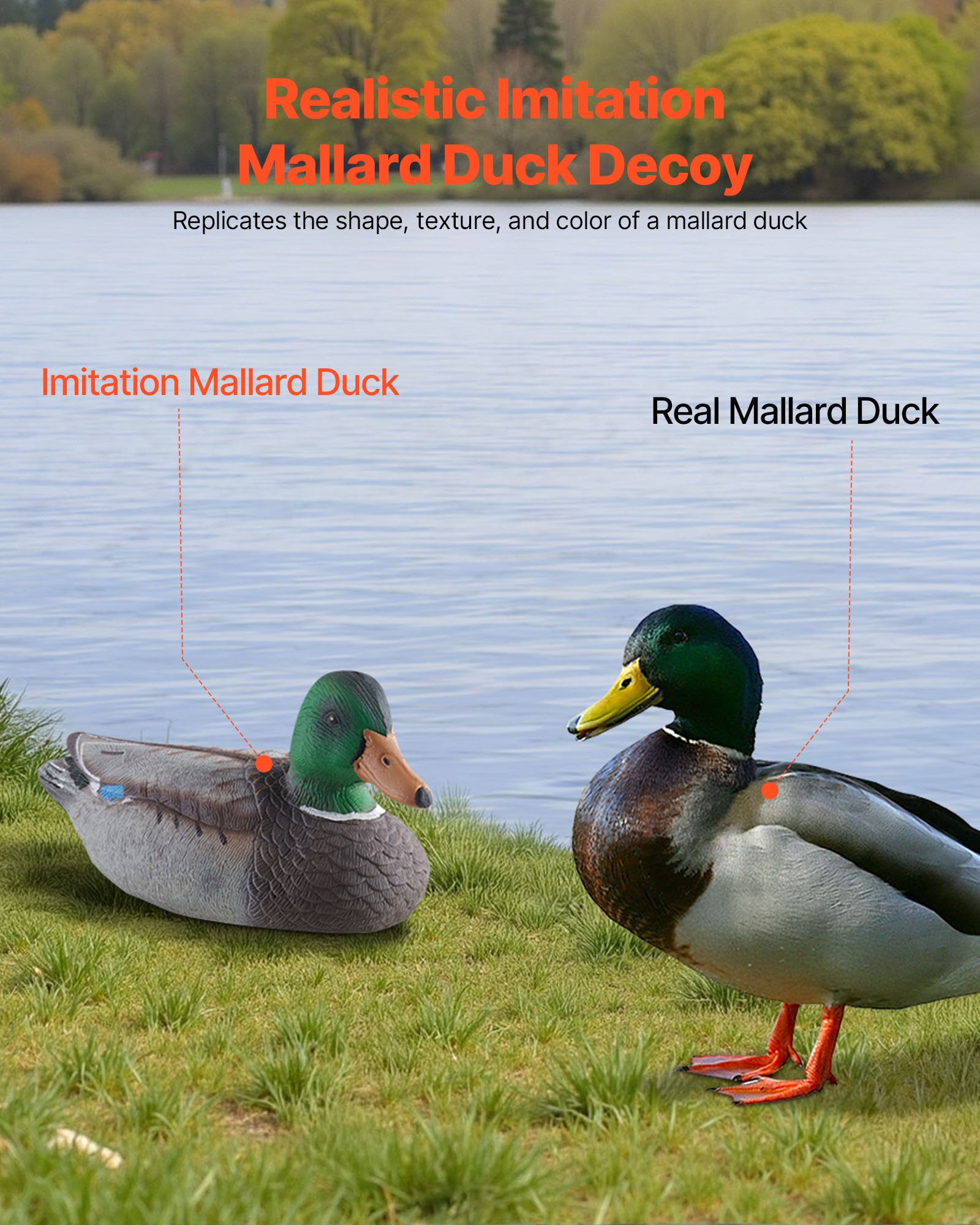 Duck Decoys, Realistic Floatin - Decoy Duck Plastic บทวิจารณ์และราคา