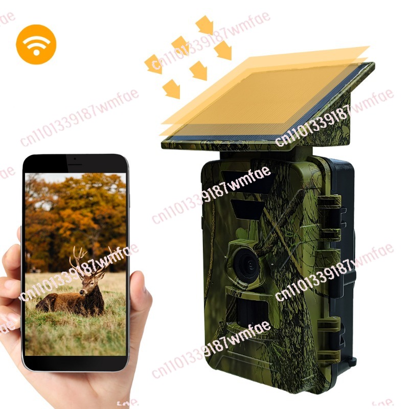 Wildlife Hunting Camera Solar  - Outdoor Hunting Camera Wifi บทวิจารณ์และราคา