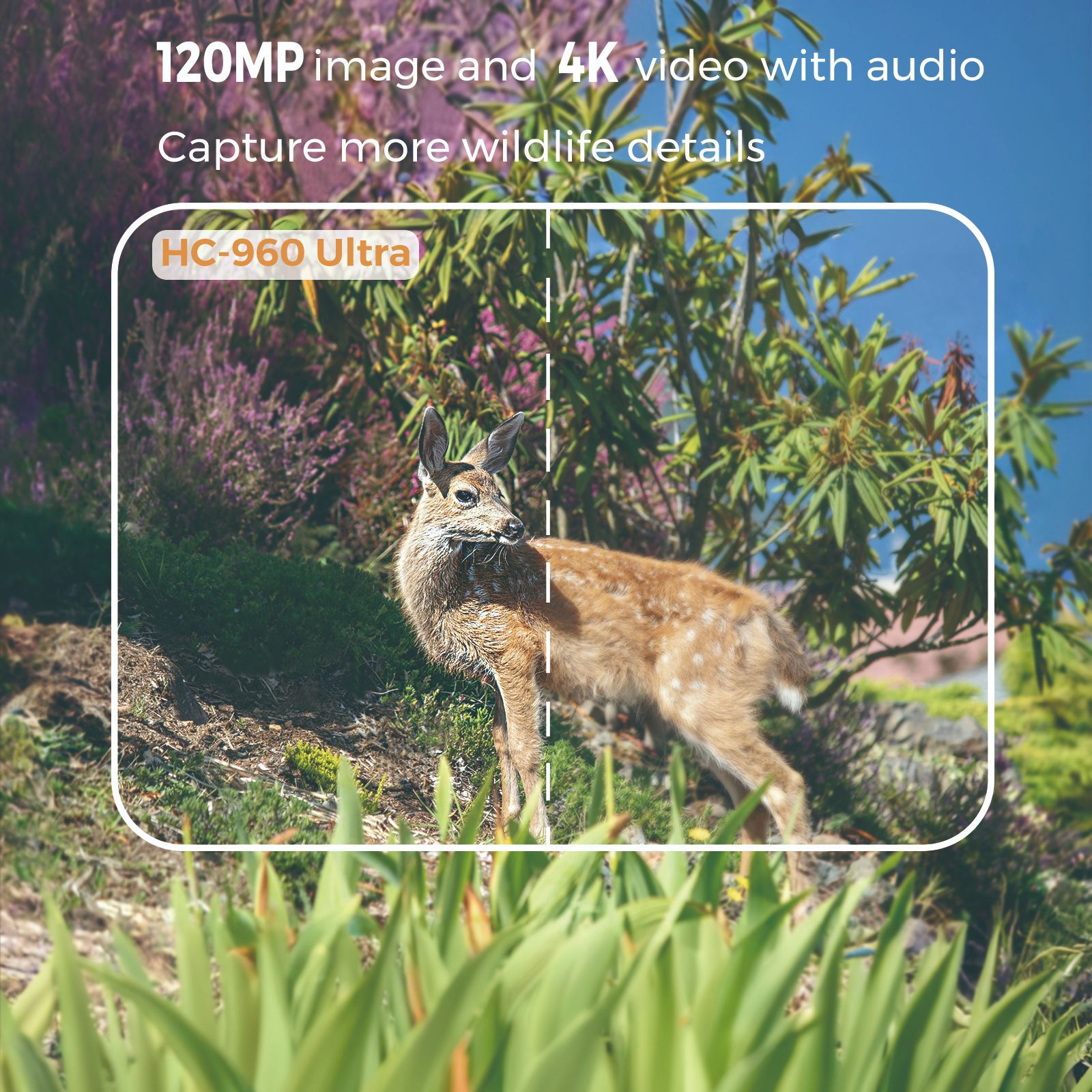 Outdoor 4K Video 120MP Photo 4 - Outdoor Hunting Videos บทวิจารณ์และราคา