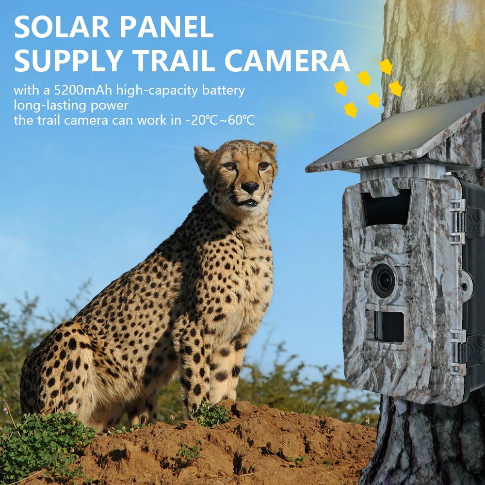 Solar WiFi 4K 60MP Hunting Cam - Outdoor Hunting Camera Wifi บทวิจารณ์และราคา