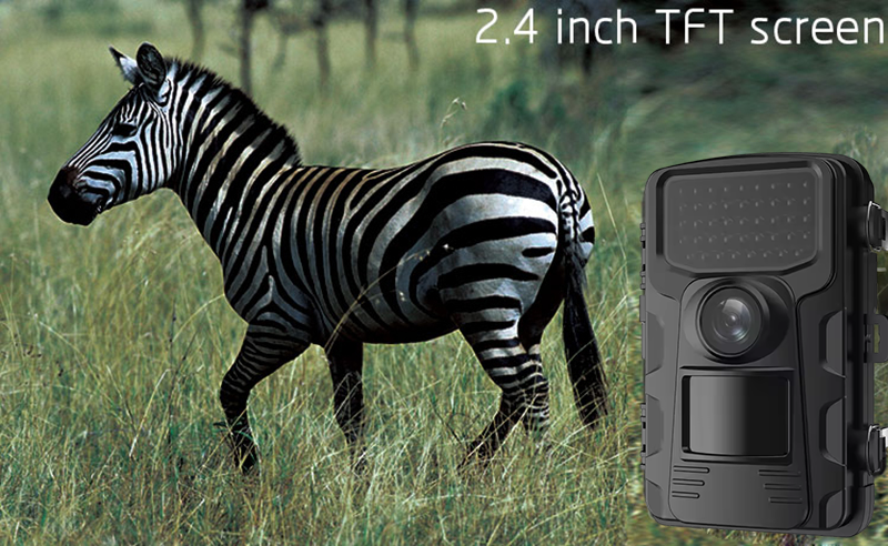 Outdoor Sports Hunting Cameras - Outdoor Hunting Videos บทวิจารณ์และราคา