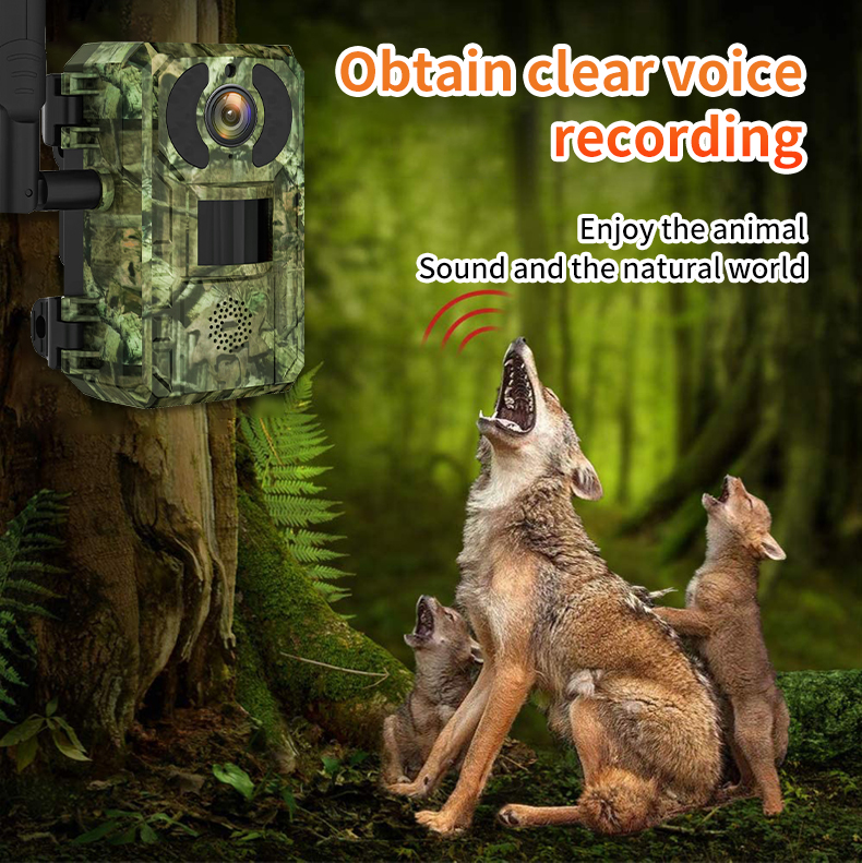 H10 4G Hunting Trail   With So - Outdoor Hunting Camera Wifi บทวิจารณ์และราคา
