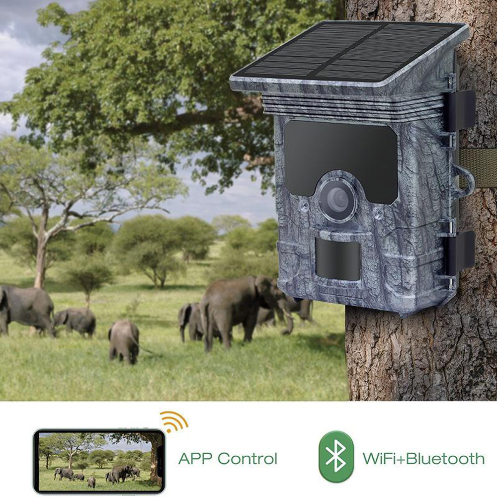 Solar Panel Hunting Camera 4K  - Outdoor Hunting Camera Wifi บทวิจารณ์และราคา