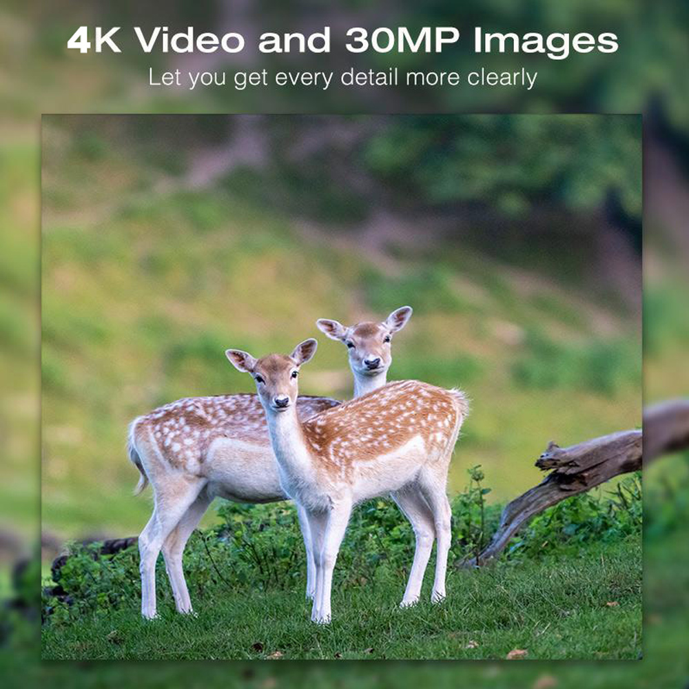Solar Panel Hunting Camera 4K  - Outdoor Hunting Camera Wifi บทวิจารณ์และราคา