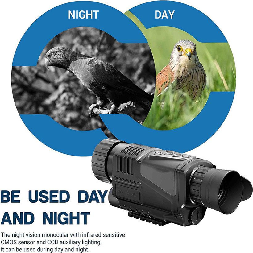 Low Light Night Vision Hunting - Outdoor Hunting Videos บทวิจารณ์และราคา