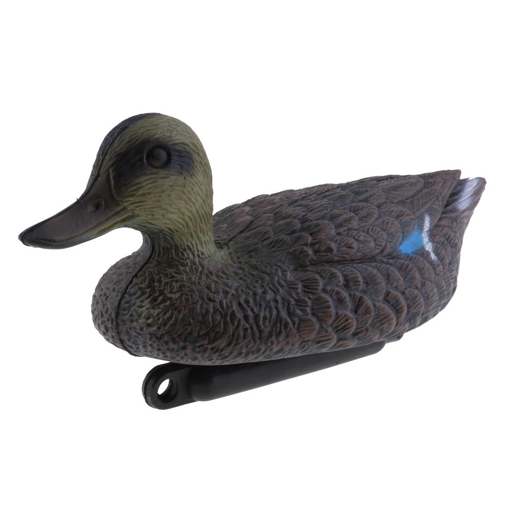 Lifesize Plastic Mandarin Duck - Decoy Duck Plastic บทวิจารณ์และราคา