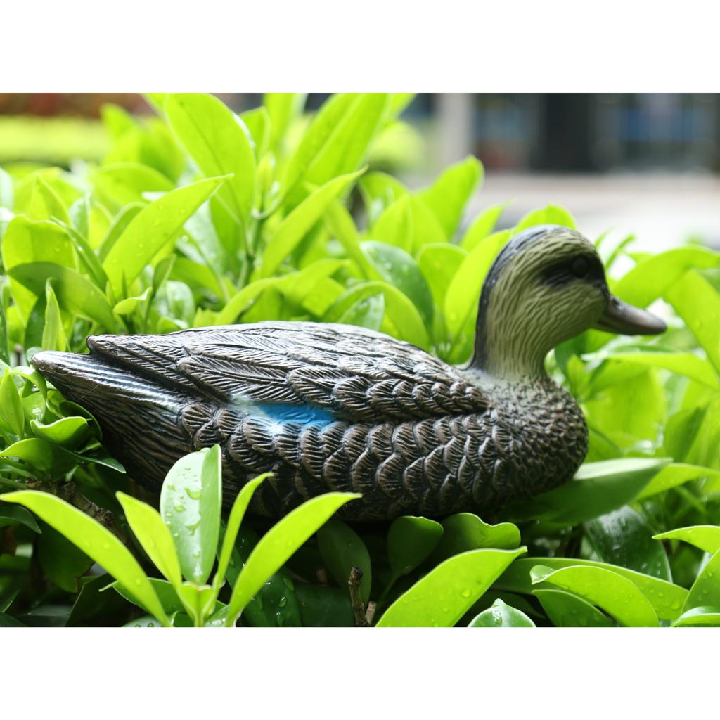 Lifesize Plastic Mandarin Duck - Decoy Duck Plastic บทวิจารณ์และราคา