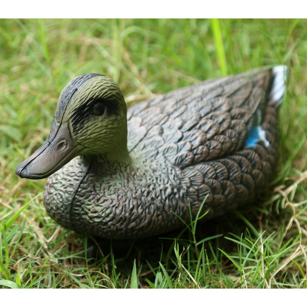 Lifesize Plastic Mandarin Duck - Decoy Duck Plastic บทวิจารณ์และราคา