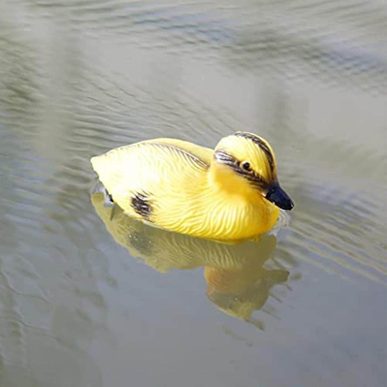 Floating Duck Decoy Cute Vivid - Decoy Duck Plastic บทวิจารณ์และราคา