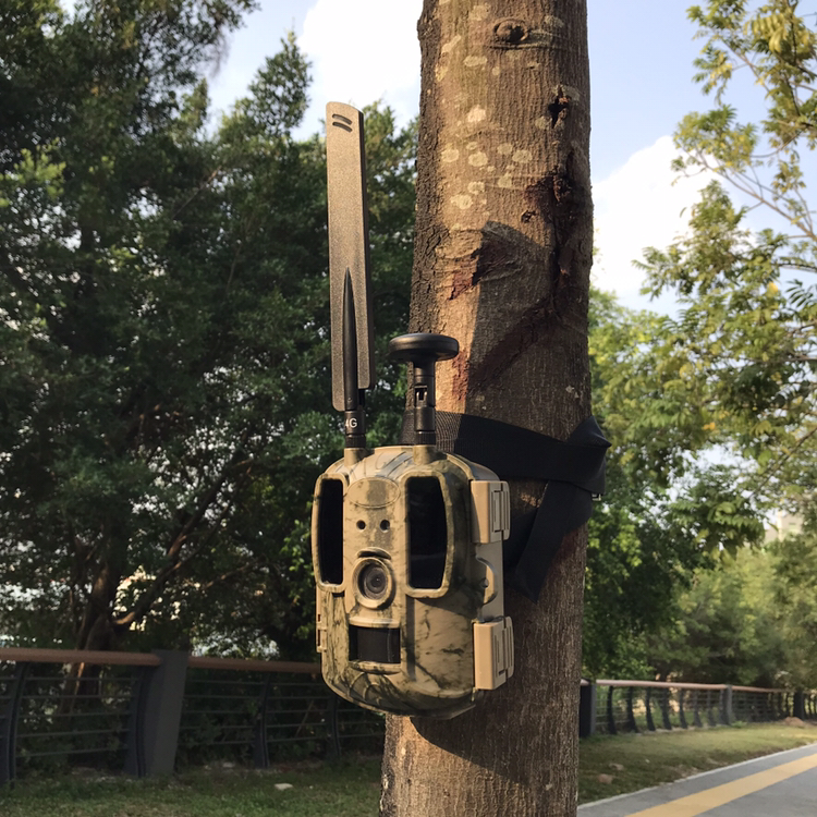 BALEVER Camera OEM Hunting Tra - Outdoor Hunting Camera Wifi บทวิจารณ์และราคา
