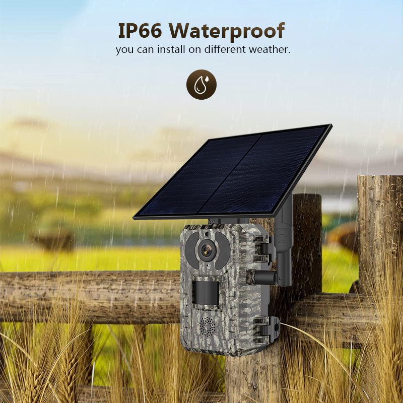 4G 4MP Outdoor Wildlife Huntin - Outdoor Hunting Camera Wifi บทวิจารณ์และราคา