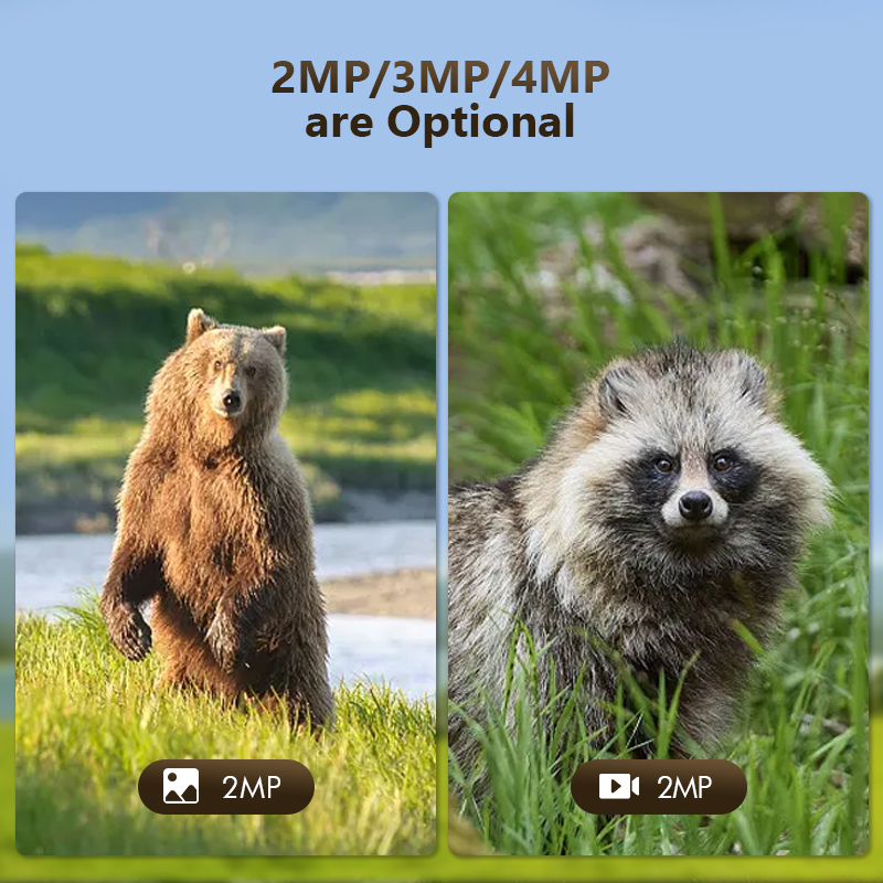 4G 4MP Outdoor Wildlife Huntin - Outdoor Hunting Camera Wifi บทวิจารณ์และราคา