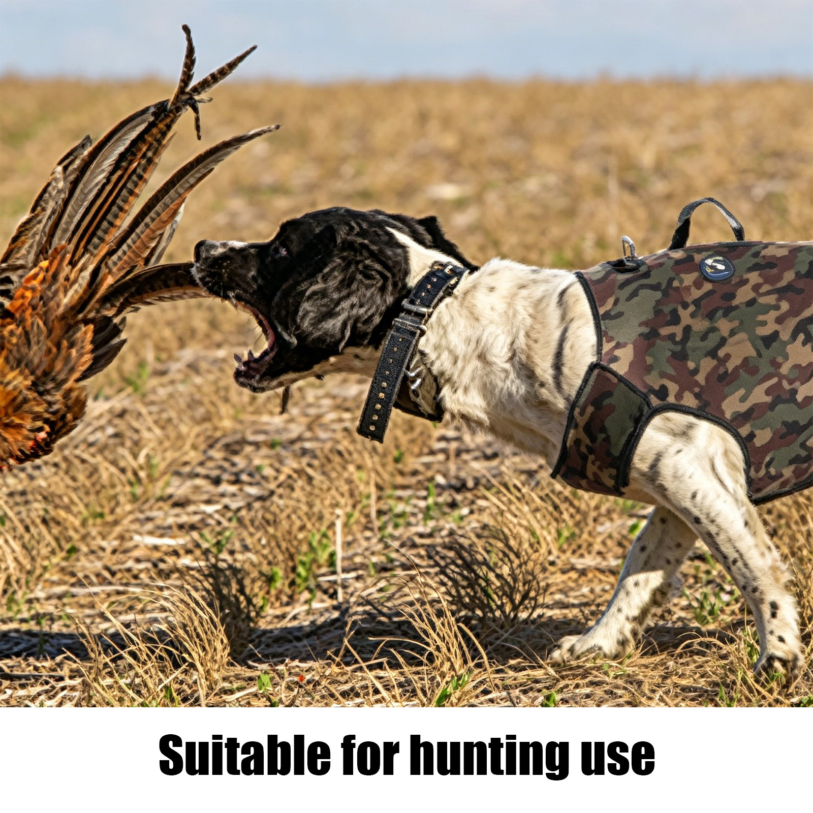 Camouflage Hunting Dog Clothes - Outdoor Hunting Hoodie บทวิจารณ์และราคา