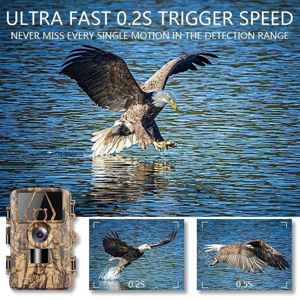 PR801W WIFI 8K 60MP Digital Tr - Outdoor Hunting Camera Wifi บทวิจารณ์และราคา