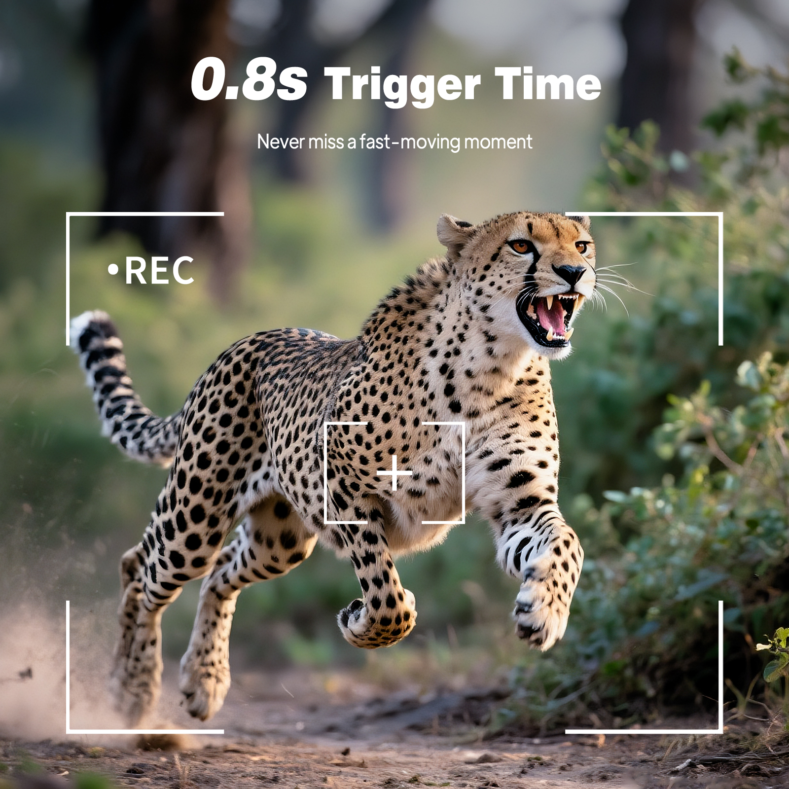 HD Infrared Hunting Camera 2.4 - Outdoor Hunting Videos บทวิจารณ์และราคา