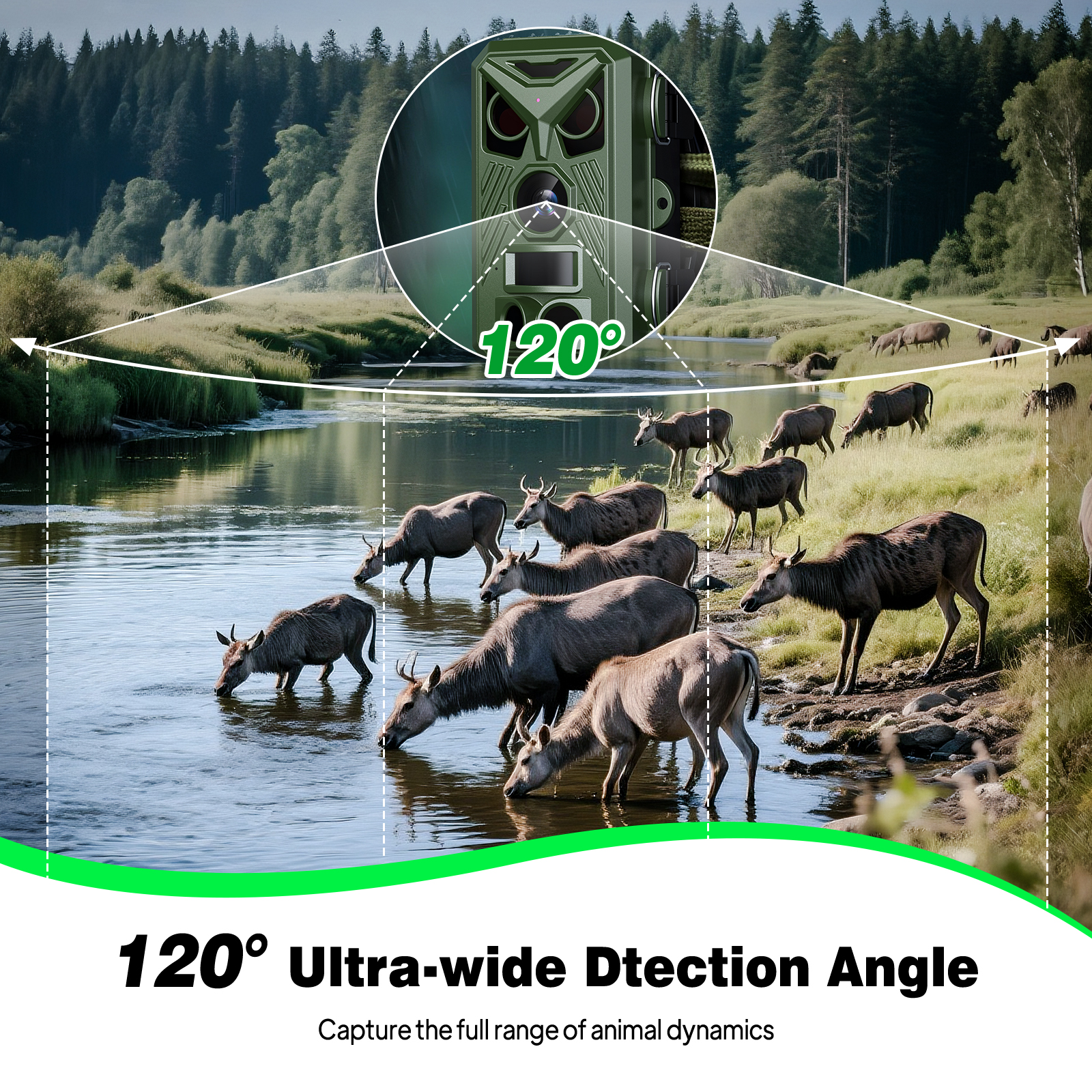HD Infrared Hunting Camera 2.4 - Outdoor Hunting Videos บทวิจารณ์และราคา