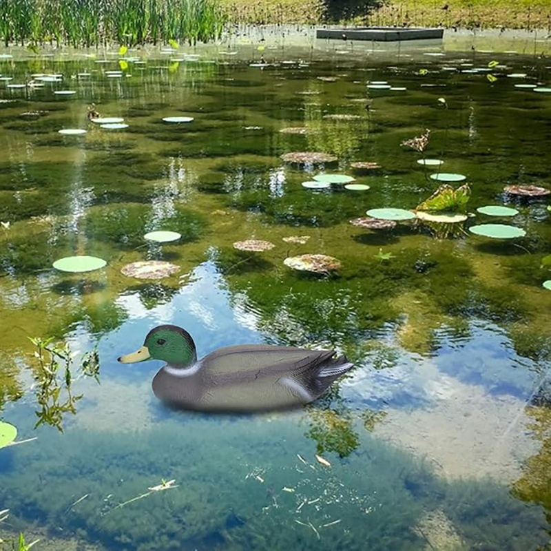 1pc Realistic Plastic Duck Hun - Decoy Duck Plastic บทวิจารณ์และราคา
