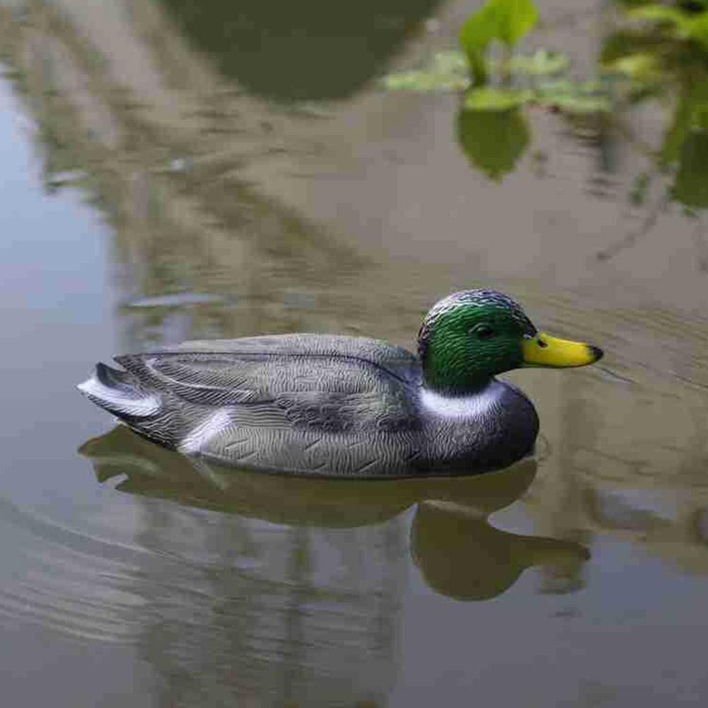 Outdoor Realistic Plastic Duck - Decoy Duck Plastic บทวิจารณ์และราคา