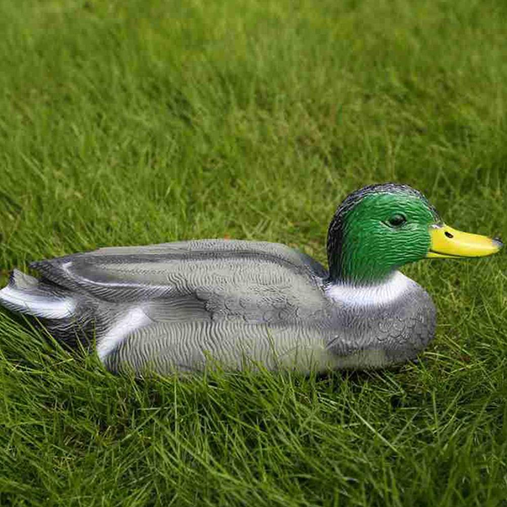 Outdoor Realistic Plastic Duck - Decoy Duck Plastic บทวิจารณ์และราคา