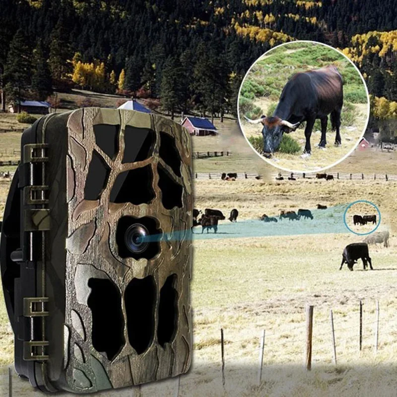H982 IP66 Waterproof 4K Outdoo - Outdoor Hunting Videos บทวิจารณ์และราคา