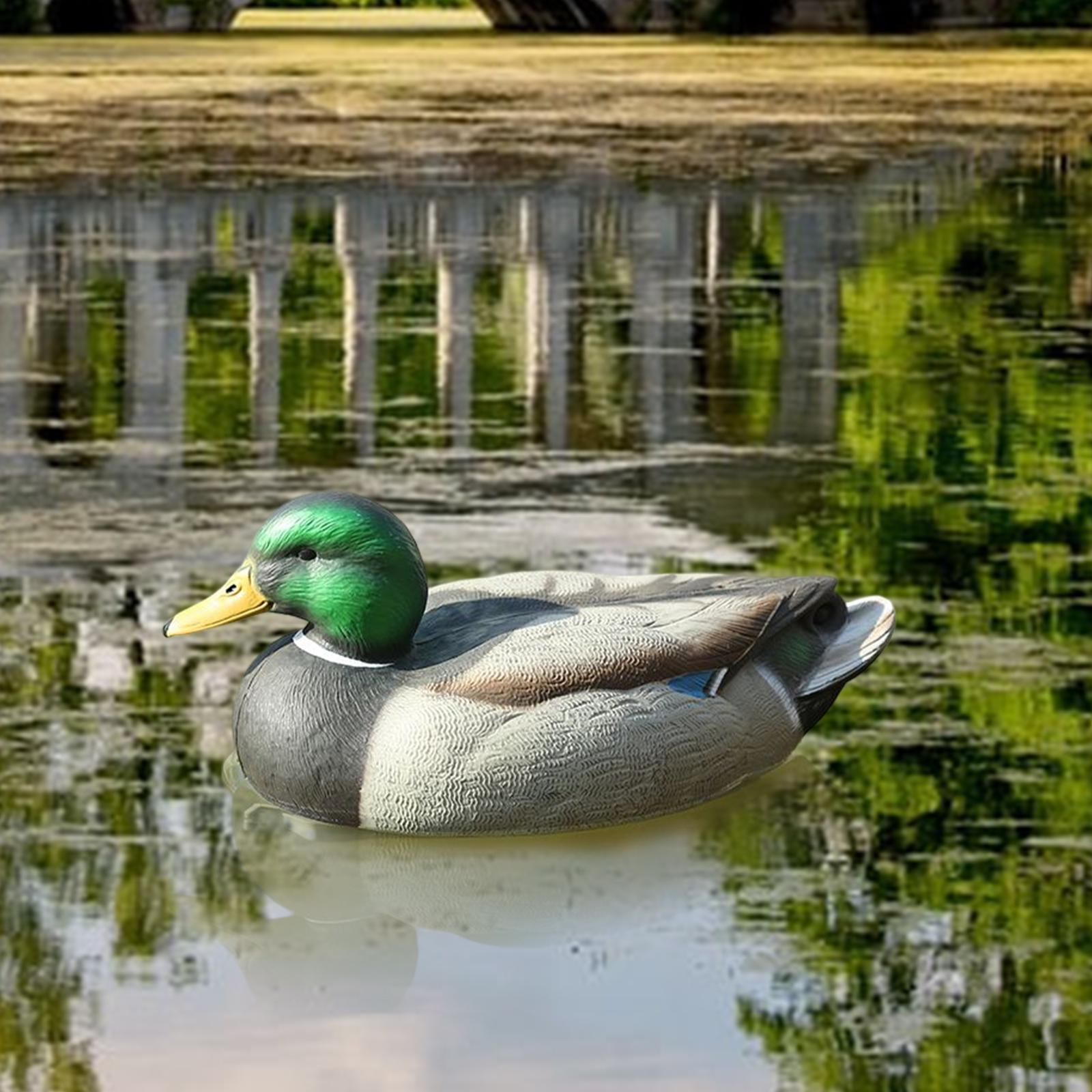 Anatomically Perfect Plastic D - Decoy Duck Plastic บทวิจารณ์และราคา