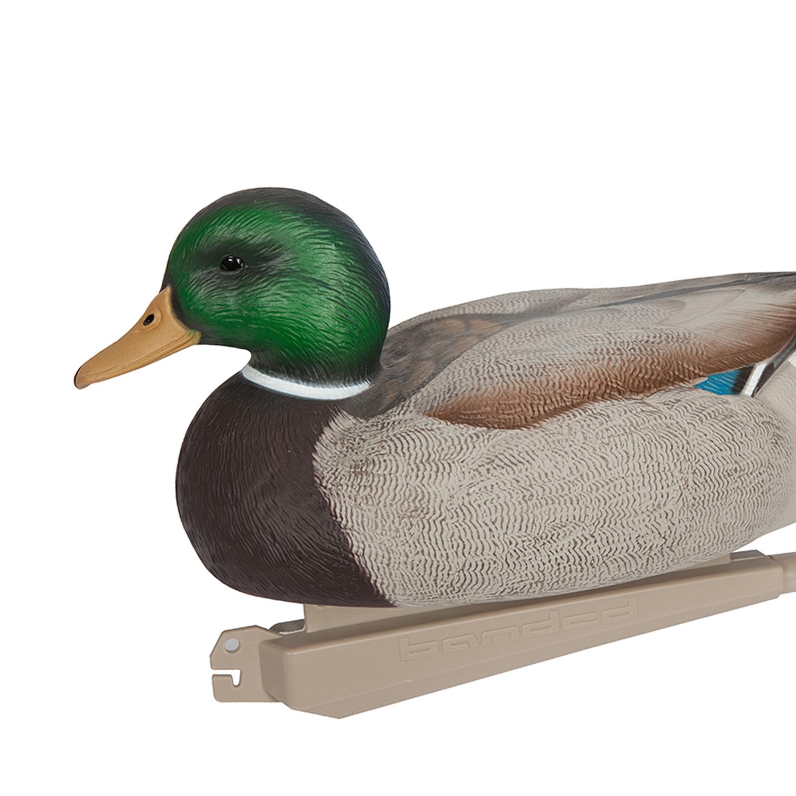 Anatomically Perfect Plastic D - Decoy Duck Plastic บทวิจารณ์และราคา