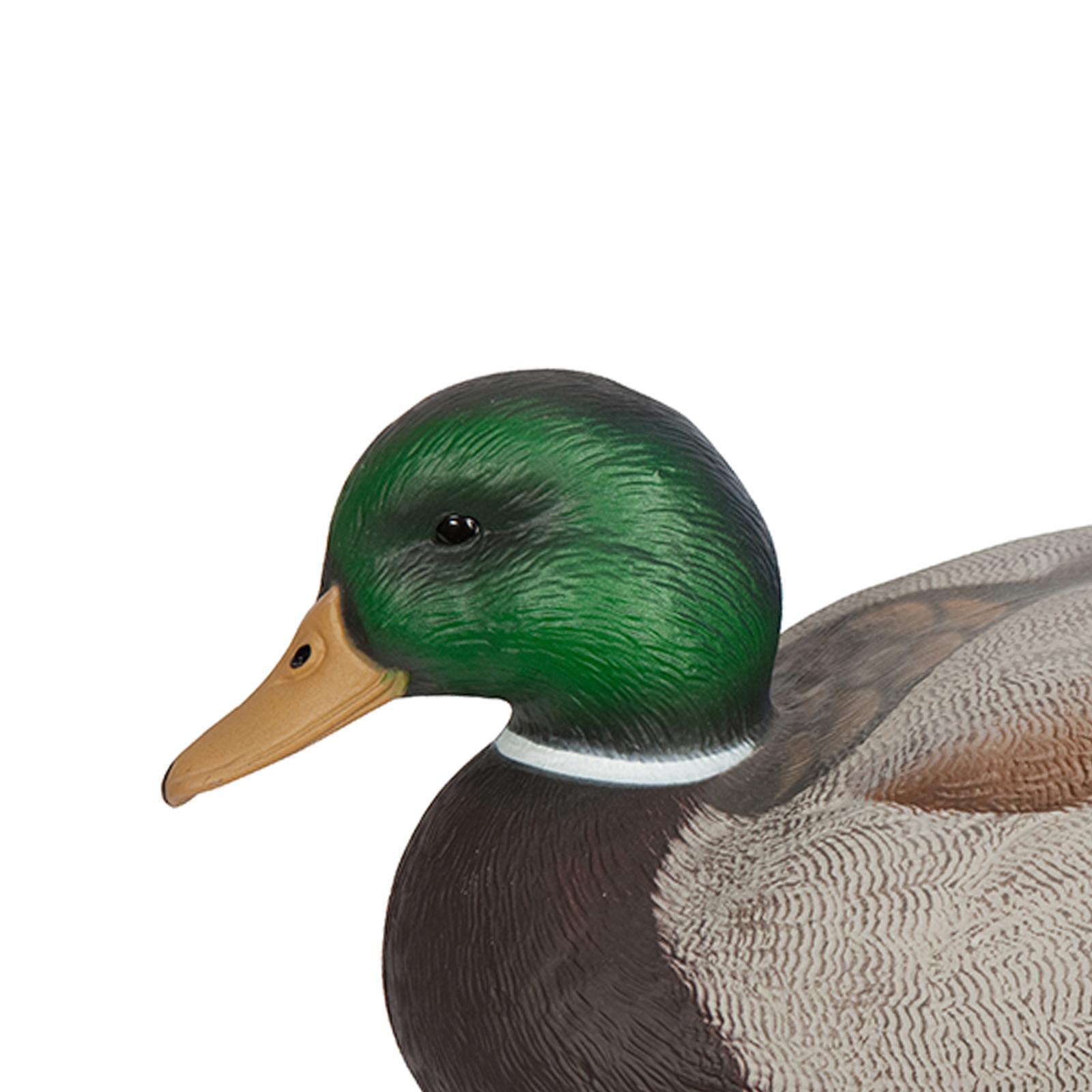 Anatomically Perfect Plastic D - Decoy Duck Plastic บทวิจารณ์และราคา