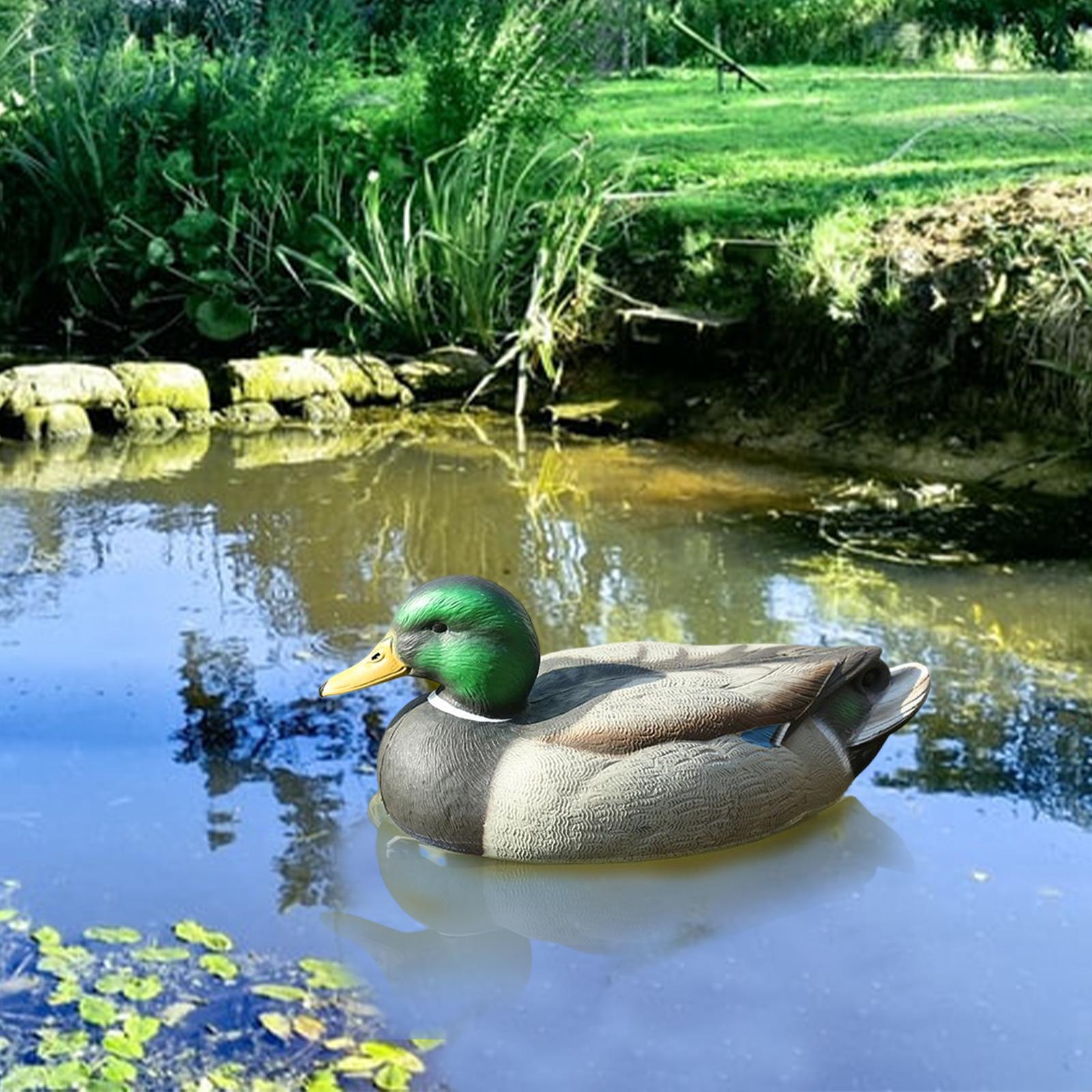 Anatomically Perfect Plastic D - Decoy Duck Plastic บทวิจารณ์และราคา