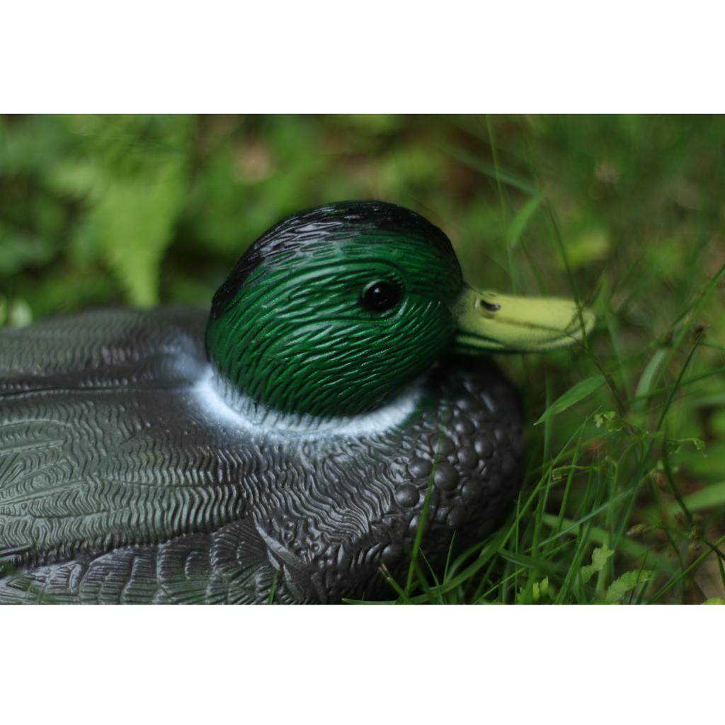 Lifelike Plastic Duck Decoy Ga - Decoy Duck Plastic บทวิจารณ์และราคา