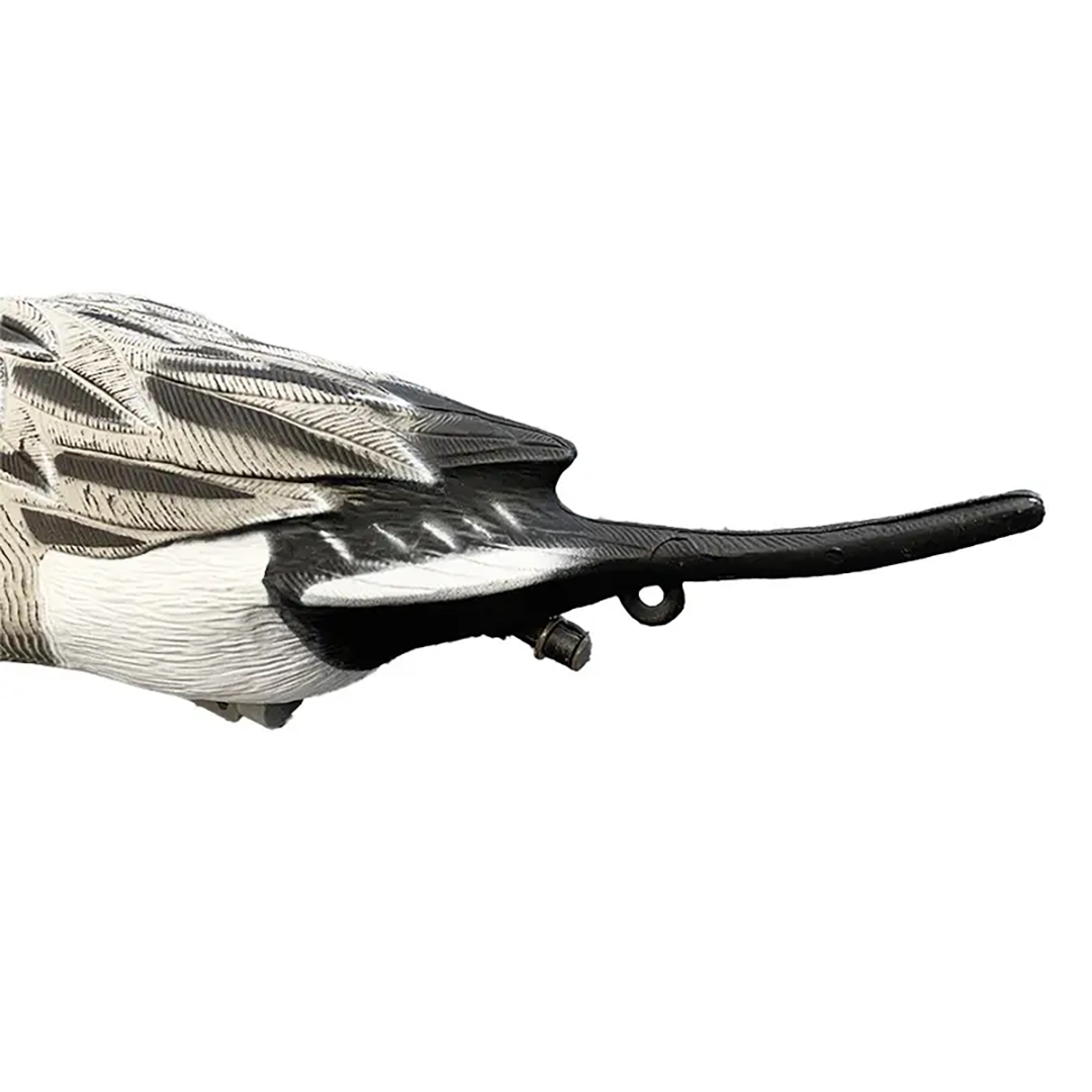3D Plastic Duck Decoy Imitate  - Decoy Duck Plastic บทวิจารณ์และราคา