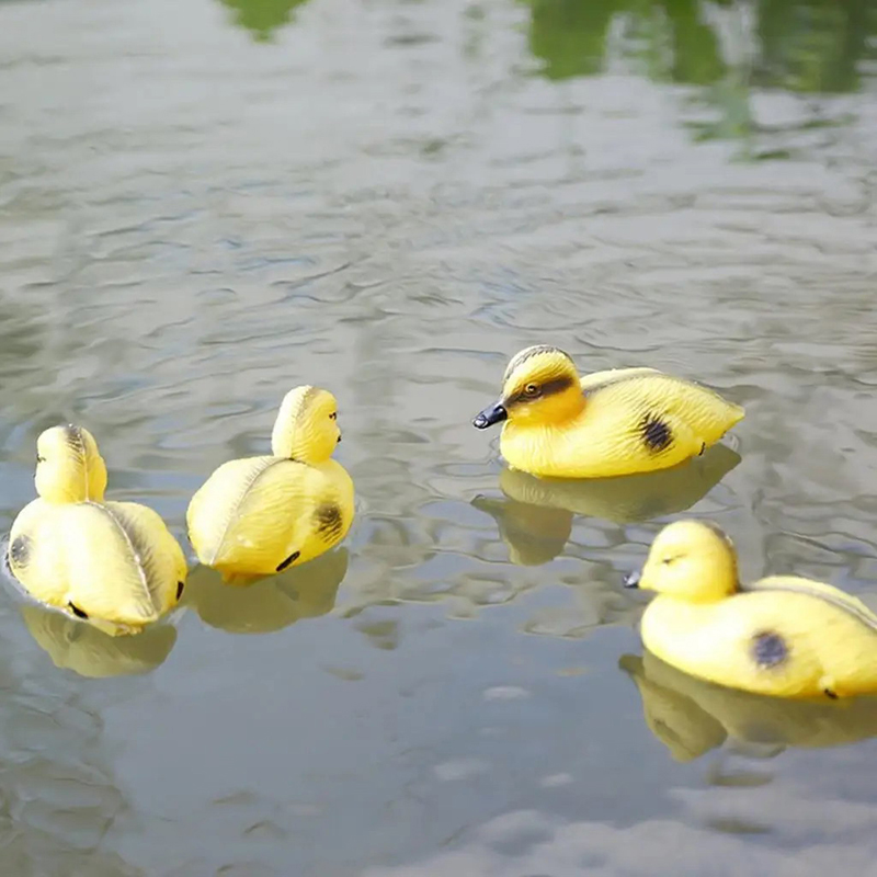 Floating Duck Ducklings Pond S - Decoy Duck Plastic บทวิจารณ์และราคา