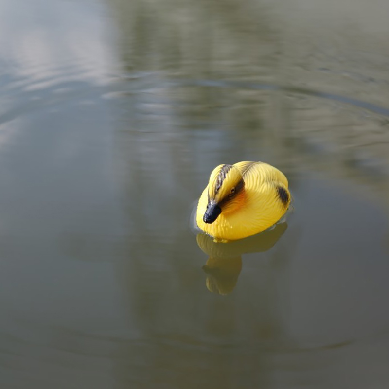 Floating Duck Ducklings Pond S - Decoy Duck Plastic บทวิจารณ์และราคา