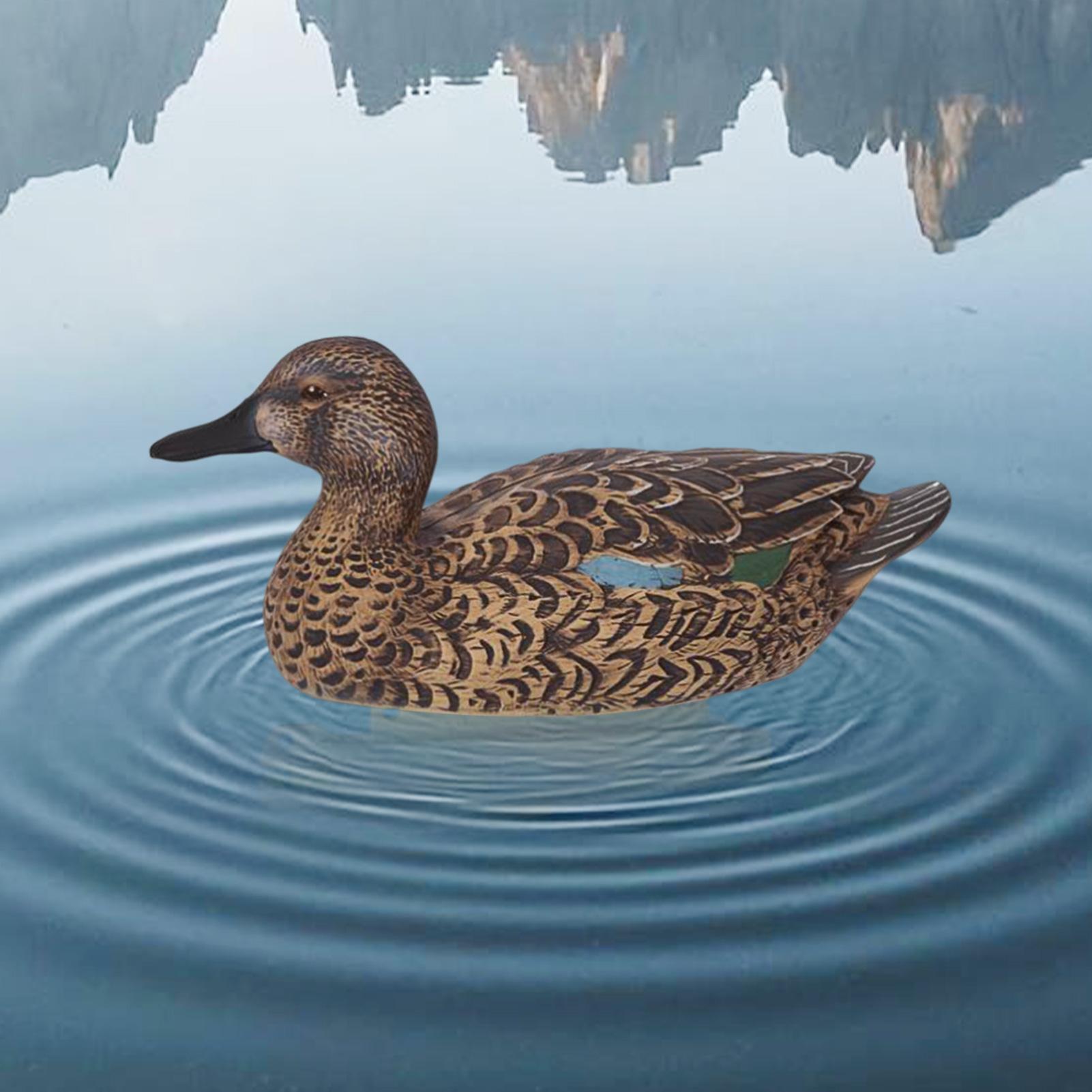 Floating Decoy Duck Lifelike S - Decoy Duck Plastic บทวิจารณ์และราคา