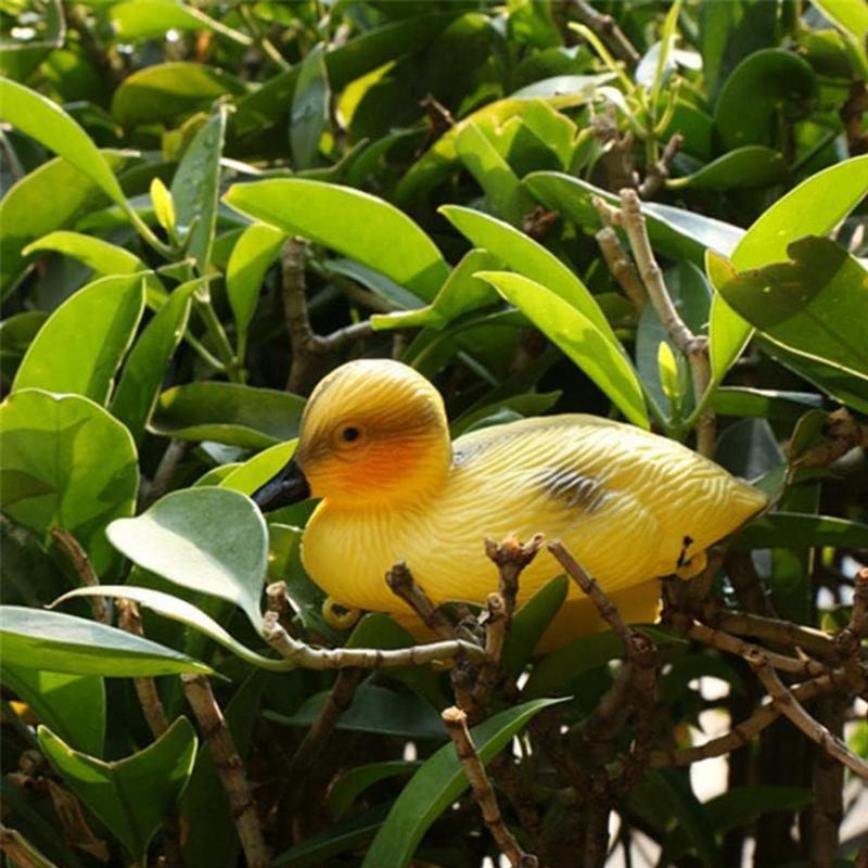 5Pack Floating Duck Fish Pond  - Decoy Duck Plastic บทวิจารณ์และราคา